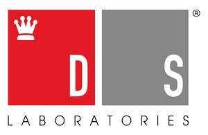Logo DS Labs