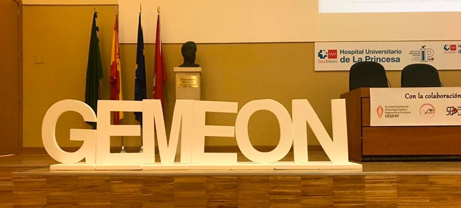Éxito de la I Jornada GEMEON